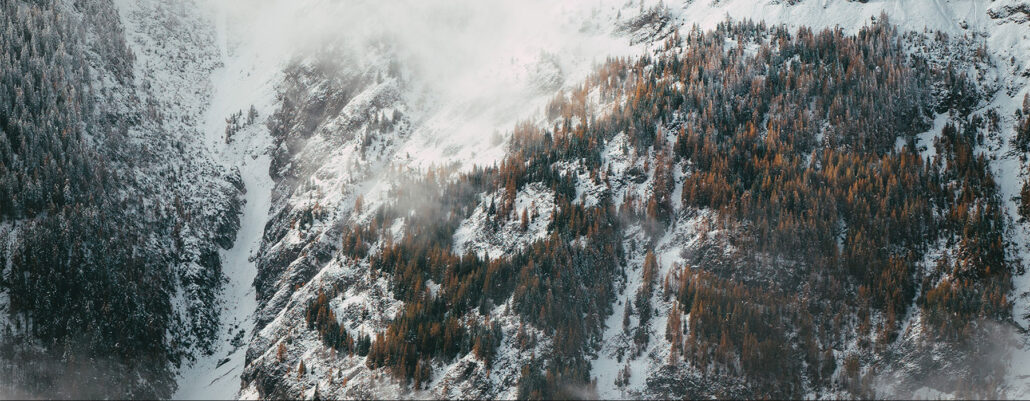 I’ll assert that market is the most important factor in a startup’s success or failure Jan Kronies VveK8fSO9TA Unsplash 1030x401